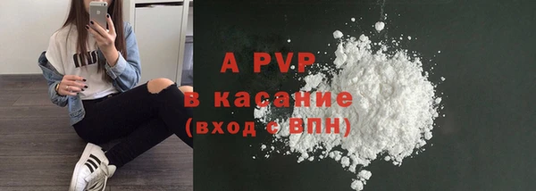 сатива Аркадак
