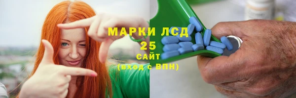 сатива Аркадак
