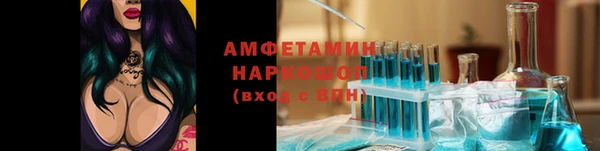 сатива Аркадак