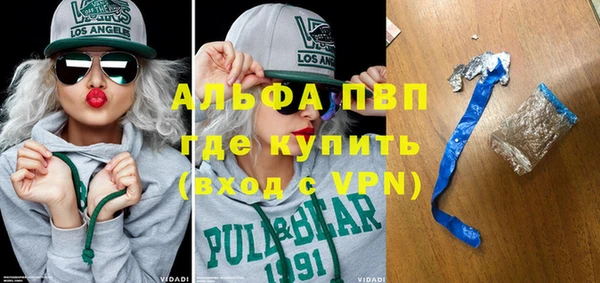 сатива Аркадак