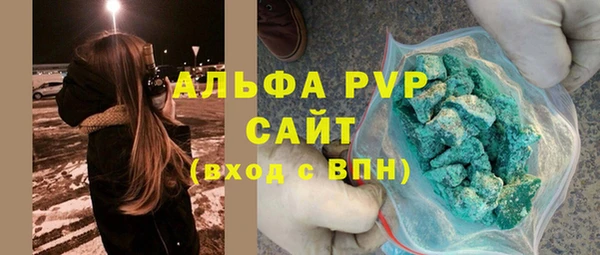 сатива Аркадак