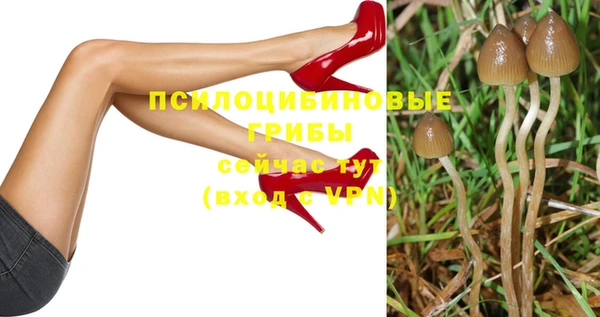 ешки Арсеньев