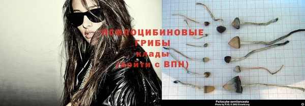 ешки Арсеньев