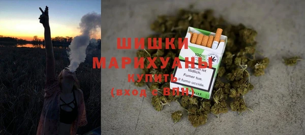 ешки Арсеньев