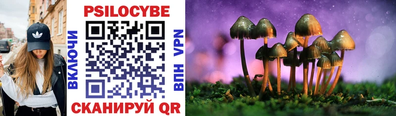 Псилоцибиновые грибы Magic Shrooms  Инсар 